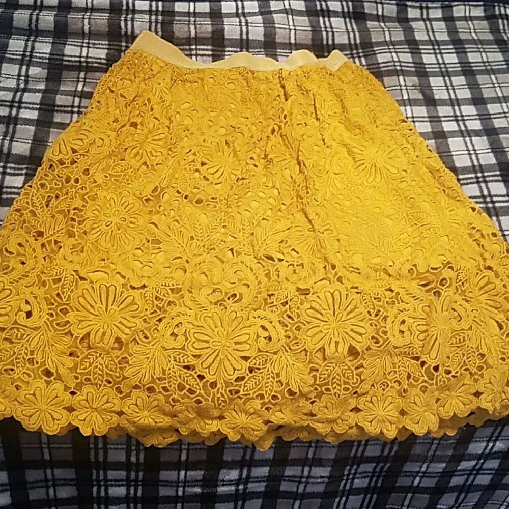 Ann Taylor skirt